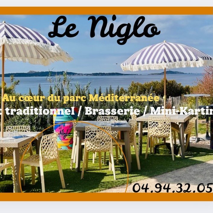 Logo niglo